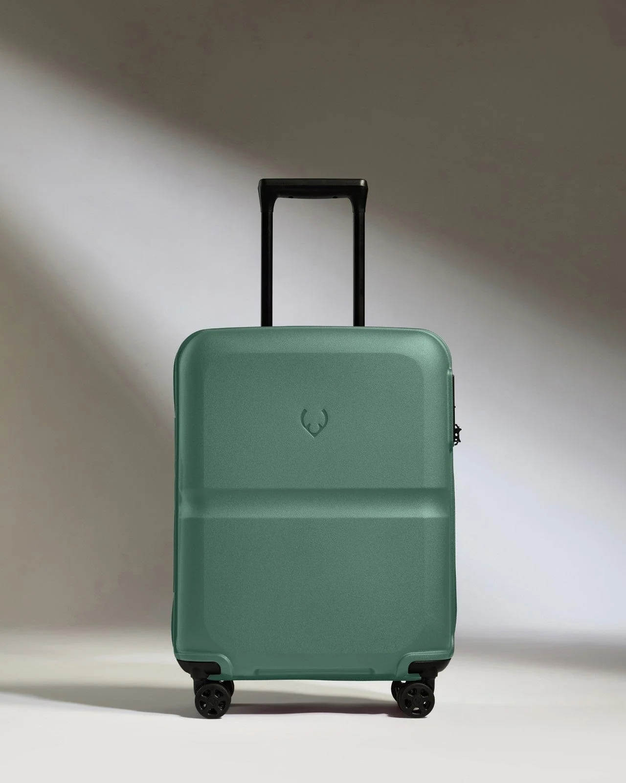 Cabin Suitcase in Seagrass Green - Single Stripe - Image 5