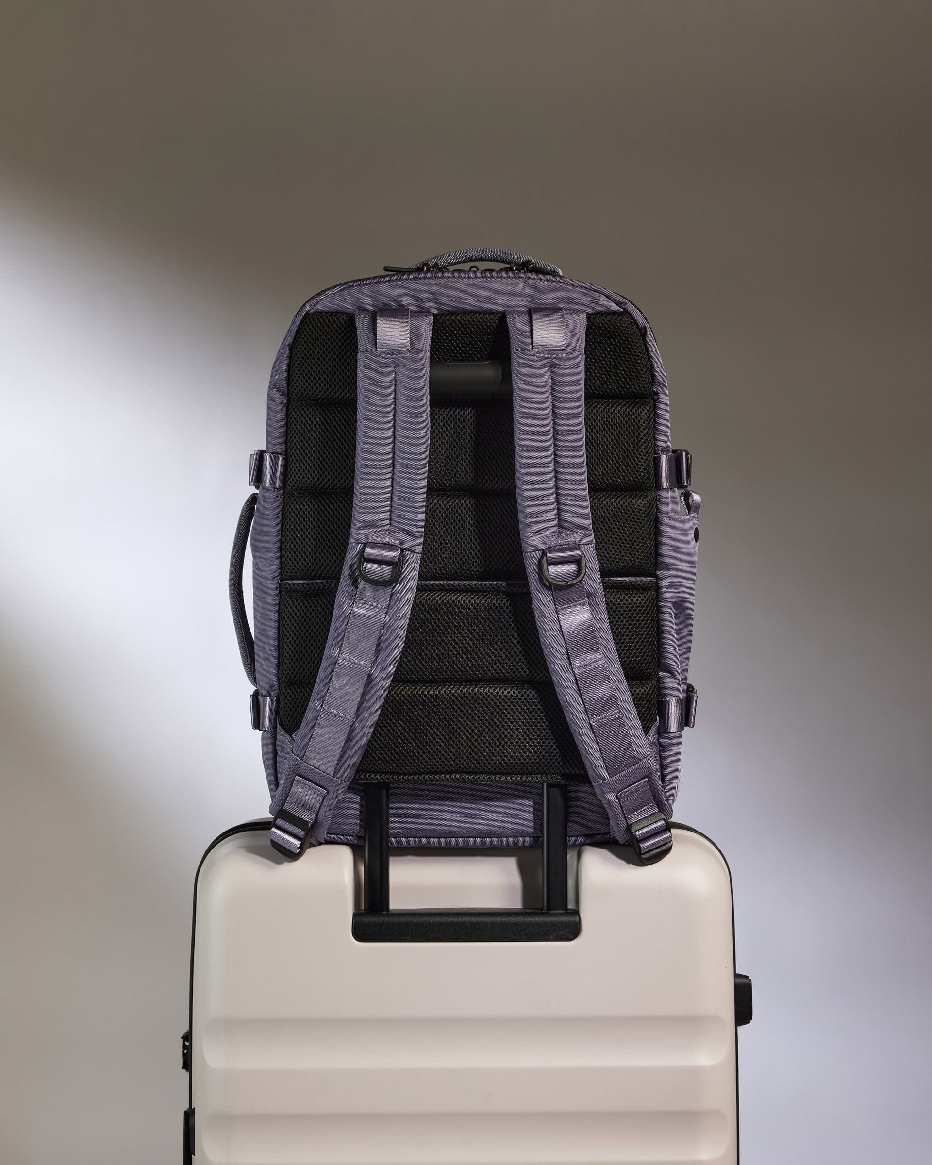 Discovery 28L Backpack in Meadow Purple - Image 5