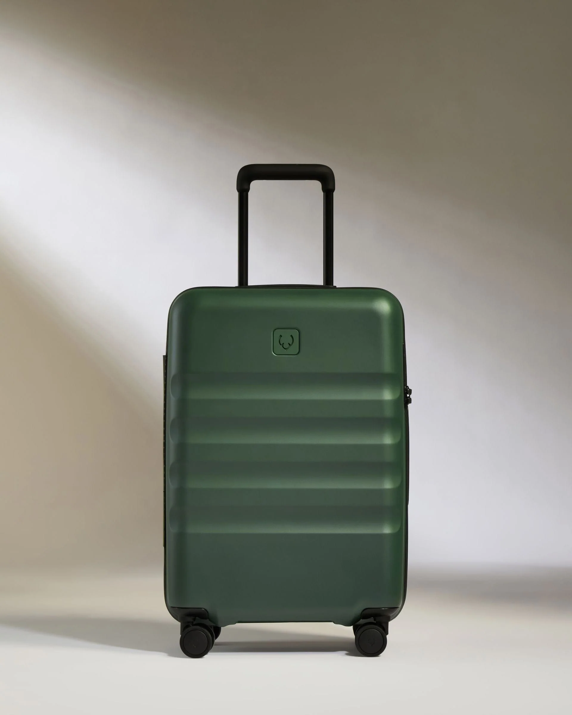 Large Cabin Suitcase Set in Antler Green - Icon Stripe - Image 5