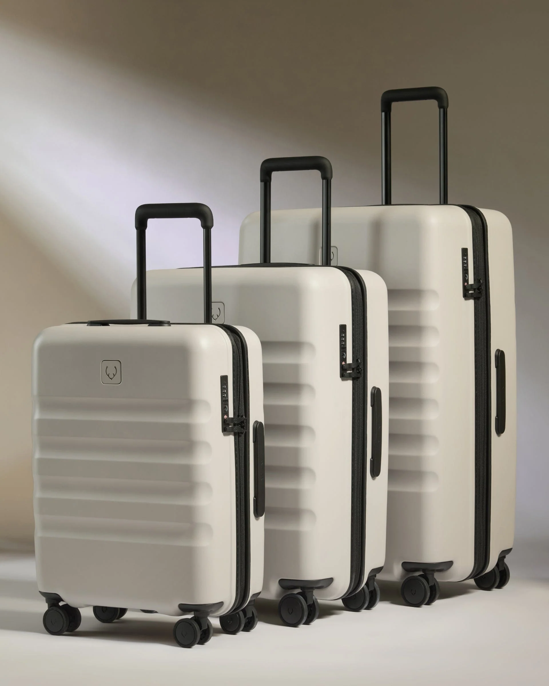 Suitcase Set in Taupe - Icon Stripe - Image 2